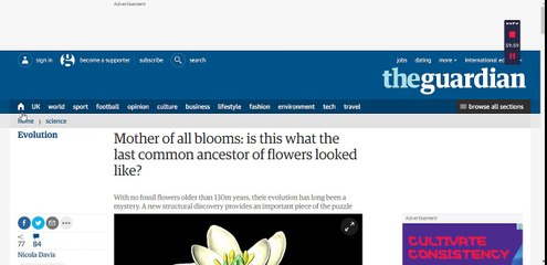 Emperor penguins beat ice cliffs to breed