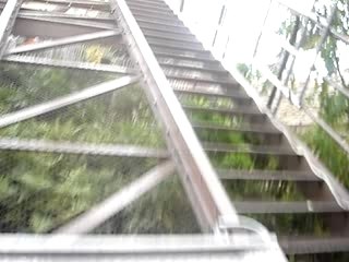 Serge VS Black Mamba...