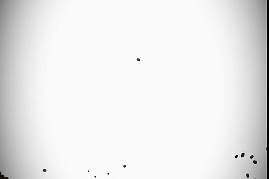 Get Restful Night's Sleep with The Bed Boss Mattresses