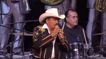 Joan Sebastian - Estuve