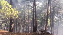 Kazdağları'nda Orman Yangını (3)