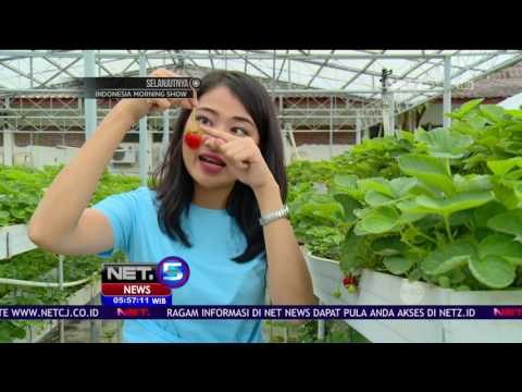 Berwisata Unik di Kaki Gunung Kota Batu - NET5