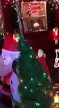 Christmas Video TNT 2016 /TNT Lights/Tommy & Tony Holiday Lights Mauldin, SC