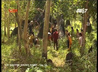 Loi Nguyen Khung Khiep 34End