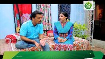 Haal e Dil Episode 191 in High Quality on Ary Zindagi 9th August 2017