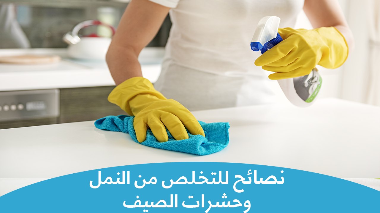 طرق فعالة للتخلص من النمل وحشرات الصيف| Natural...