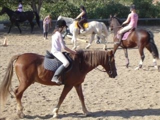 Cheval, ma passion