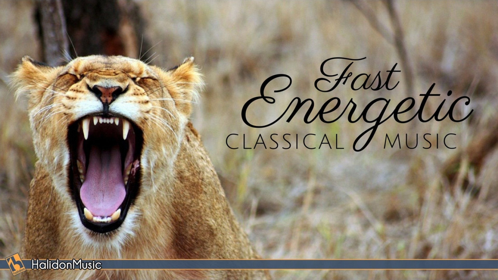 ⁣Various Artists - Fast Energetic Classical Music