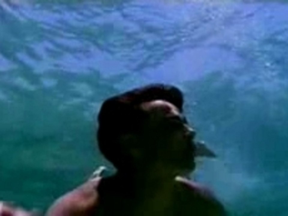 A1 Summertime Of Our Lives