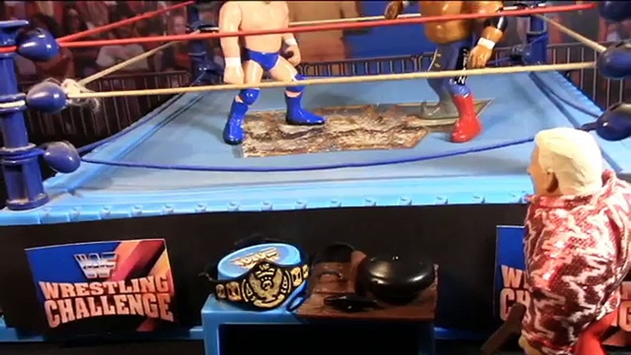 WWF Hasbro Custom Figure The Iron Sheik