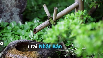 Giải mã bí quyết giúp phụ nữ Nhật luôn trẻ trung và cân đối