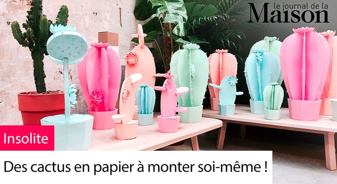 Déco insolite : des cactus en papier à monter soi-même !
