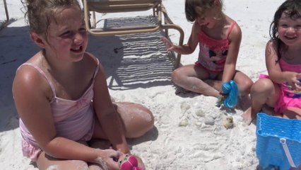 Shimmer e Shine - Passeando e Curtindo a Praia