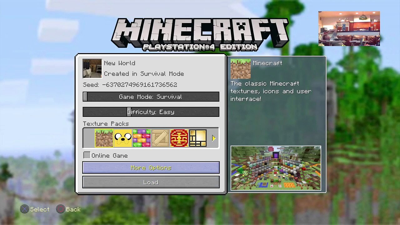 Minecraft (32)