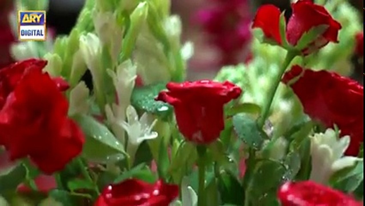 Zakham Episode 19