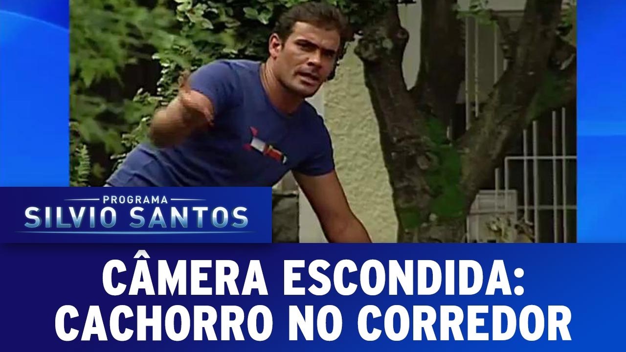 Câmeras Escondidas- Cachorro no Corredor