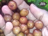 আঠালো আলু ভর্তা রেসিপি । Instant Mashed Potatoes by Ranna Banna
