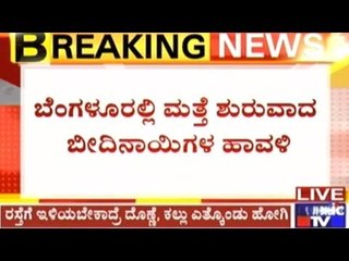 Bangalore: Woman Attacked By 5 Stray Dogs In Front Of A School In Kurubarahalli