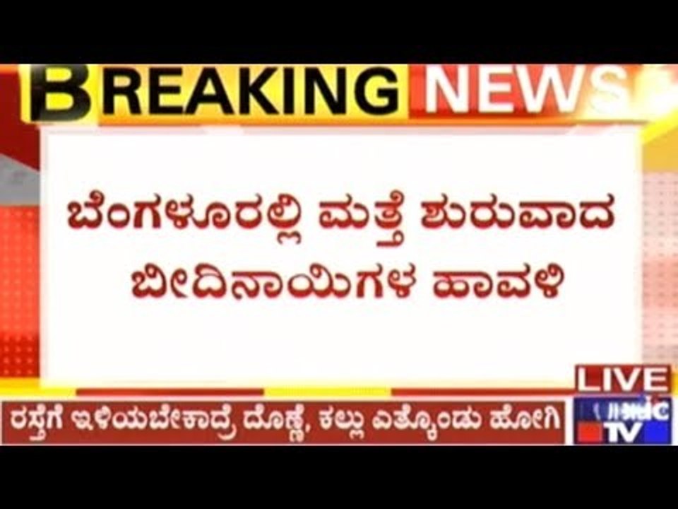 Bangalore: Woman Attacked By 5 Stray Dogs In Front Of A School In Kurubarahalli