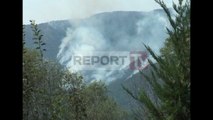 Report TV - Prefekti: Zjarret jane te qellimshme