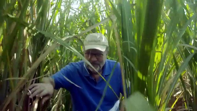 Timberland Launches New Documentary: KOMBIT: The Cooperative Chronicling Journey Toward Greener Future for Haiti