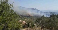 Wildfire Threatens Homes, Injures Firefighter in Southern Croatia
