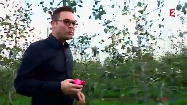 Pom Pom Pom. La face cachée de la pomme!!!