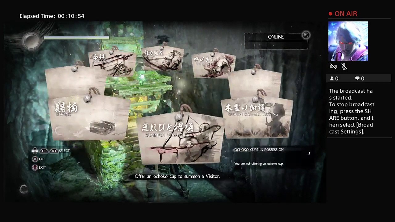 Nioh (2)
