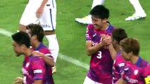 Vissel Kobe 1:0 Kashima (Japanese J League. 9 August 2017)