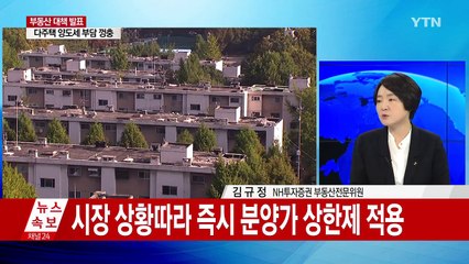'8월 부동산종합대책' 주요 내용과 평가는? / YTN