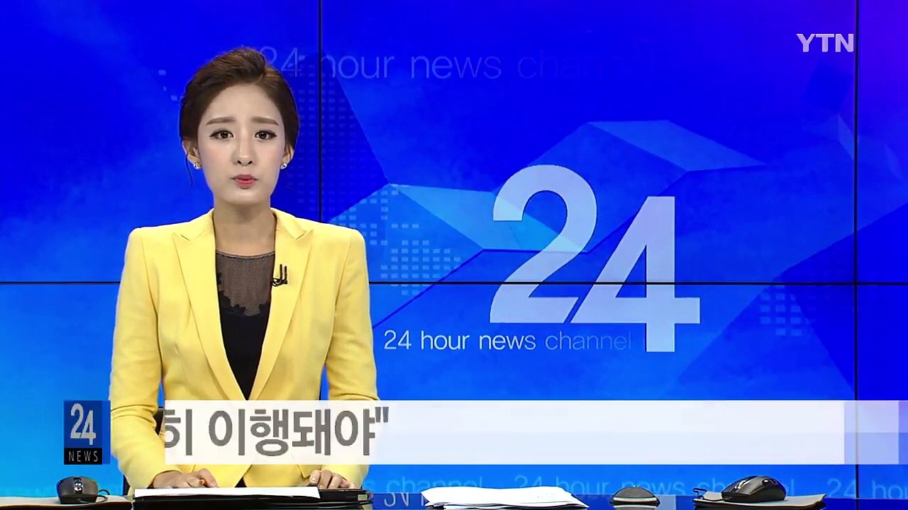 고노 "위안부 합의 착실히 이행돼야"...재협상 기대에 찬물 / YTN