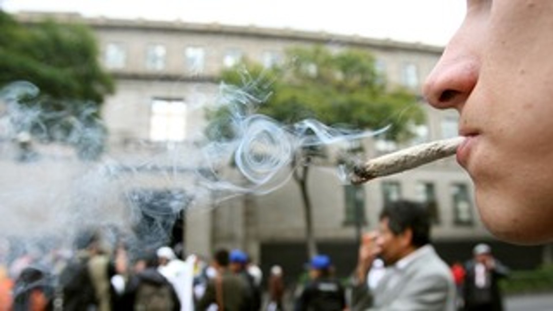 ⁣Medical Marijuana in Mexico