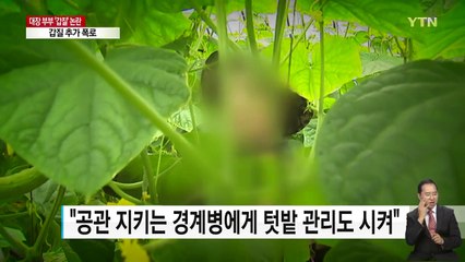 "농사일도 시켜"...군인권센터, 박찬주 갑질 추가 폭로 / YTN