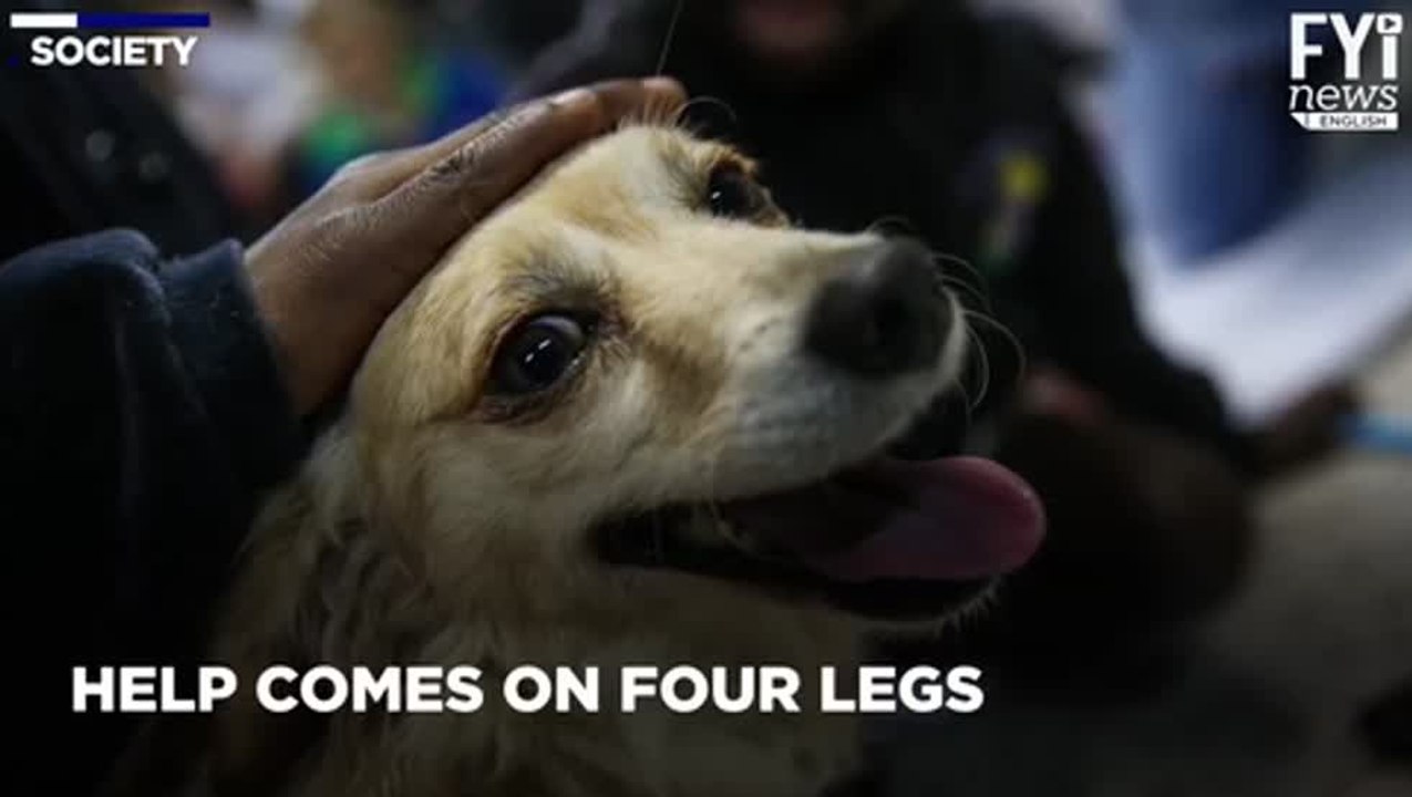 Refugees Get Help From Puppies