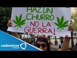 Continúa el debate sobre la legalización de la marihuana en México