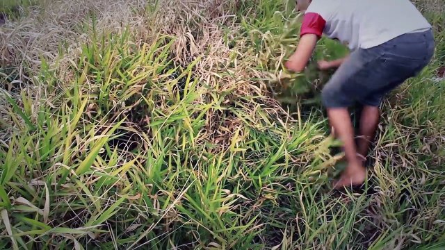 Após o jogo - Curta-metragem - Short horror Acervo do Terror - Lendas Urbanas Acervo do Terror - Lendas Urbanas