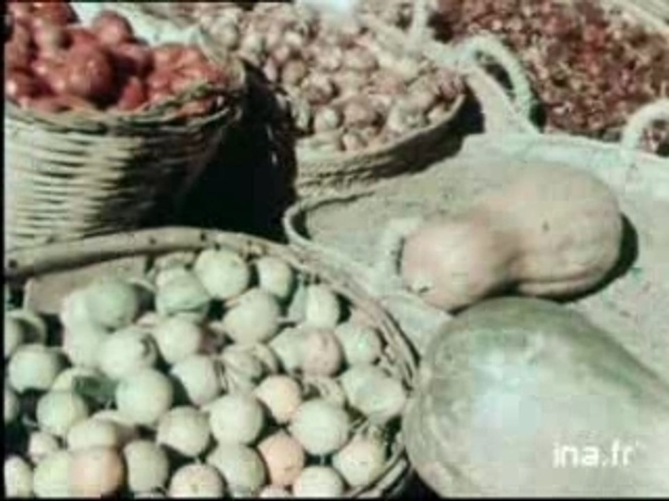Algérie 1952