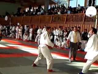 ju-jitsu fighting -85kg Capbreton 2007