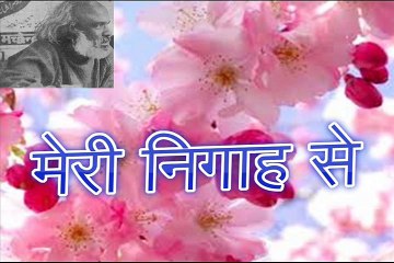 मेरी निगाह से Meri Nigah Se