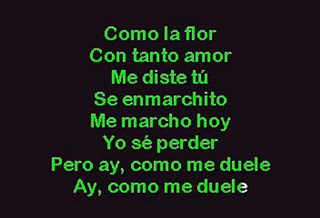 Selena - Como la flor (Karaoke)