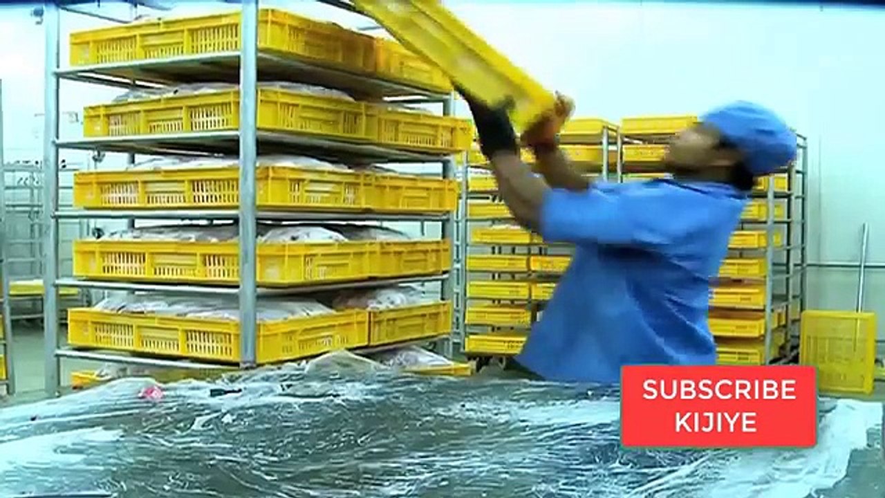 ऐसे हर घंटे 10 गाय भैंस को कटा जाता ह�
