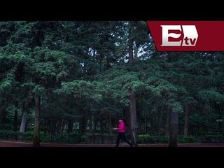 Secretaría de Ambiente DF se hará cargo de rescatar el Bosque de Tlalpan / Titulares Vianey Esquinca