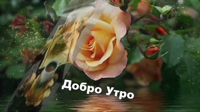 Добро Утро