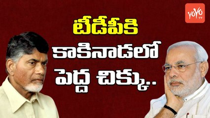 టీడీపీకి కాకినాడలో పెద్ద చిక్కు | Why Chandrababu Fear About Kakinada Muncipal Elections | YOYO TV Channel