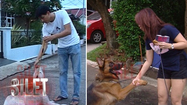 Para Artis Taklukan Anjing Super Galak - Silet 10 Agustus 2017