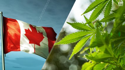 Recreational marijuana set to be approved in Canada