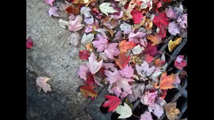 Αποφραξεις Ίλιον – 6932862293 – Apofraχeis Ilion