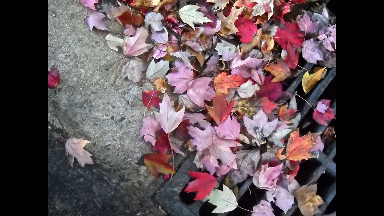 Αποφραξεις Νέα Χαλκηδόνα – 6932862293 – Apofraχeis Nea Xalkidona