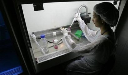 Kök hücre nakliyle farelerin yaşam süresi uzatıldı