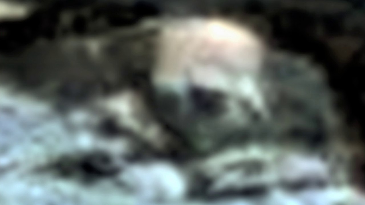 Bug Eyed Alien Being on Mars